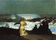 Winslow Homer A Summer Night USA oil painting reproduction